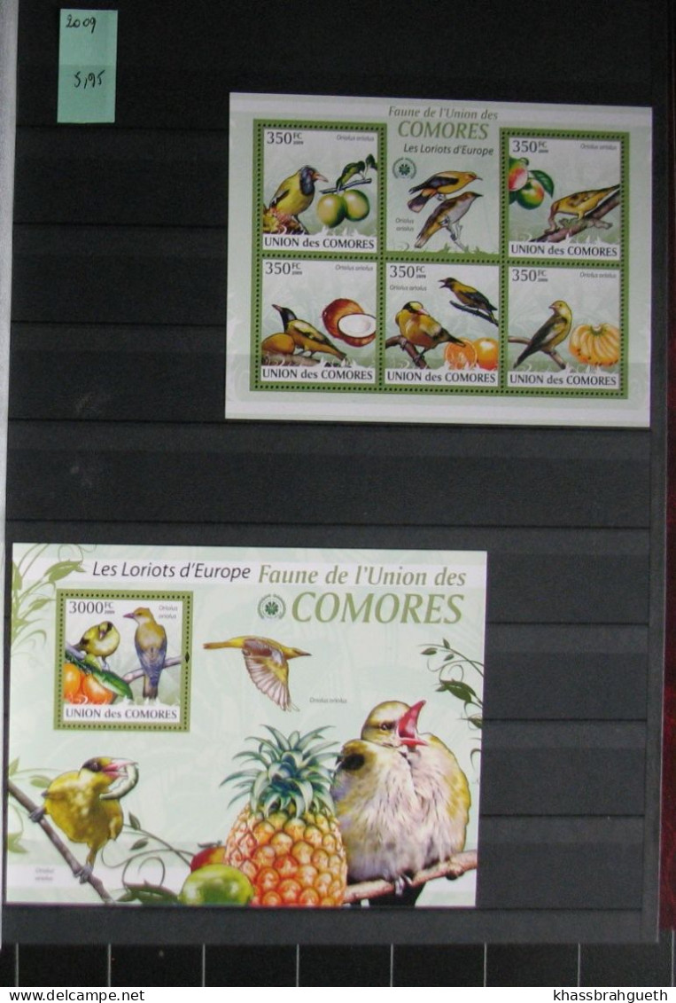 COMORES + DJIBOUTI - OISEAUX / BIRDS - 69V + 72 BLOCS **MNH