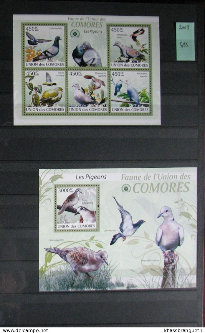 COMORES + DJIBOUTI - OISEAUX / BIRDS - 69V + 72 BLOCS **MNH