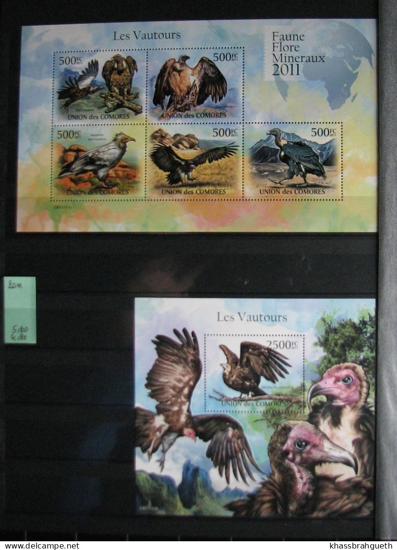 COMORES + DJIBOUTI - OISEAUX / BIRDS - 69V + 72 BLOCS **MNH