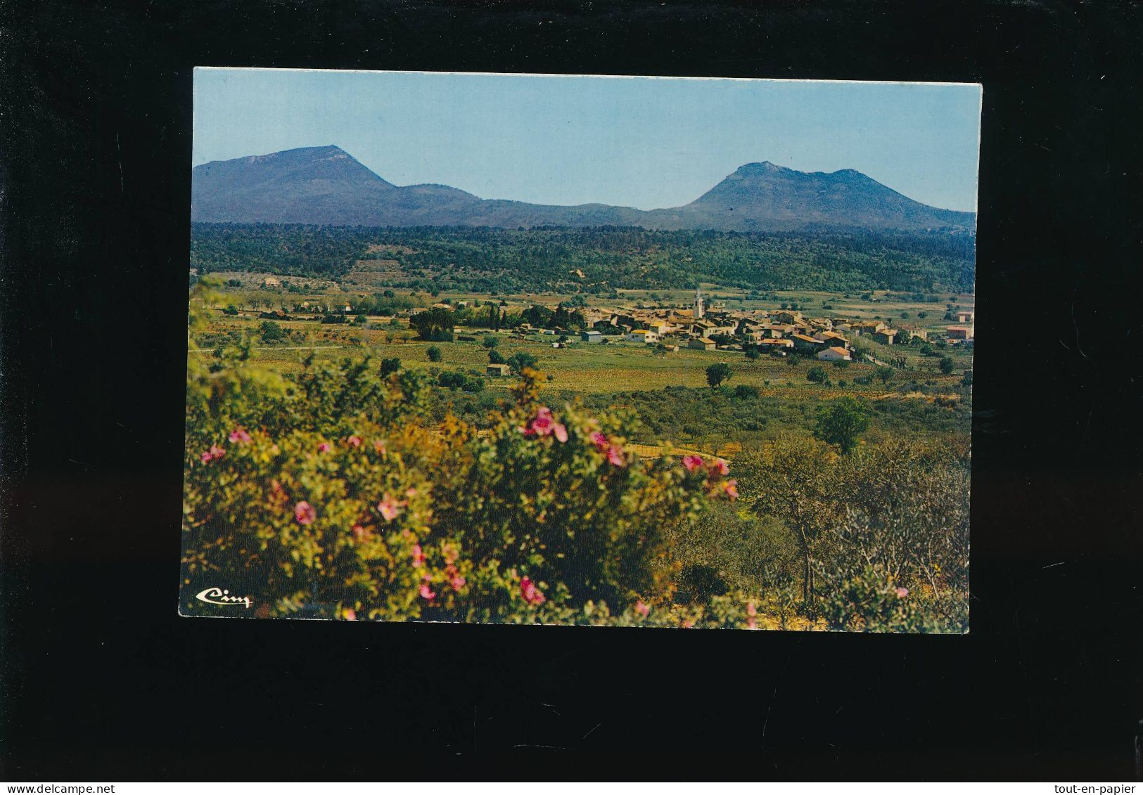 CPSM  - 83 - Tavernes - Vue Générale - écrite En 1977 - Tavernes