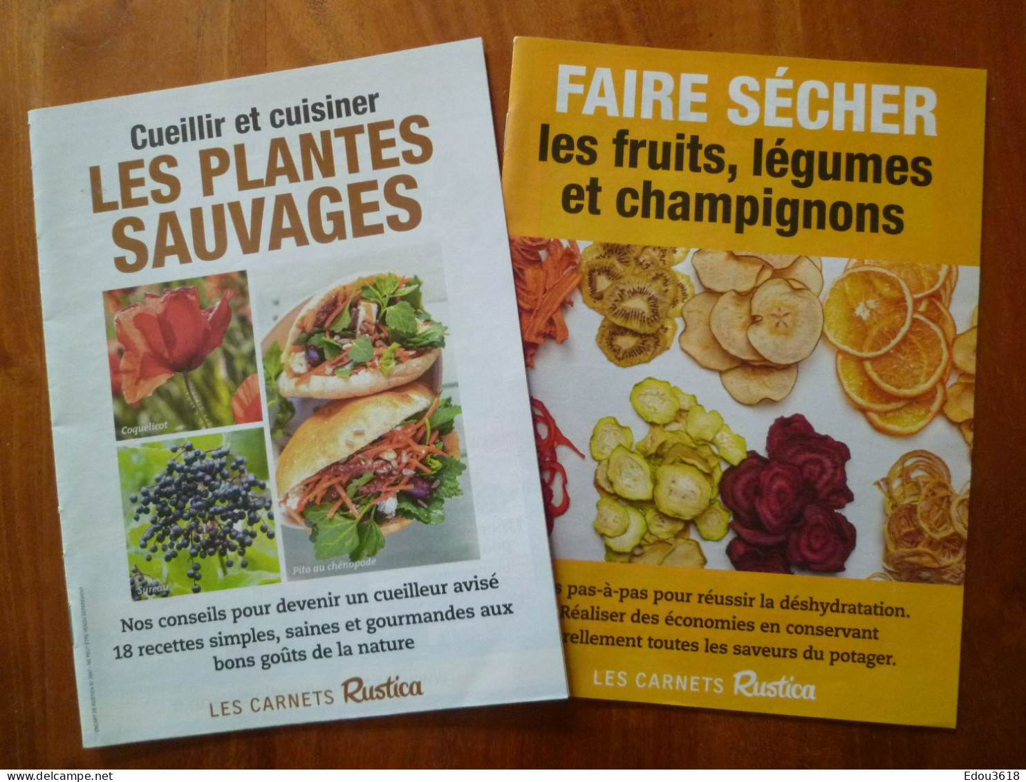 Lot 2 Carnet Rustica Cueillir Et Cuisiner Les Plantes Sauvages & Faire Sécher Les Fruits Légumes Champignons... * - Tuinieren