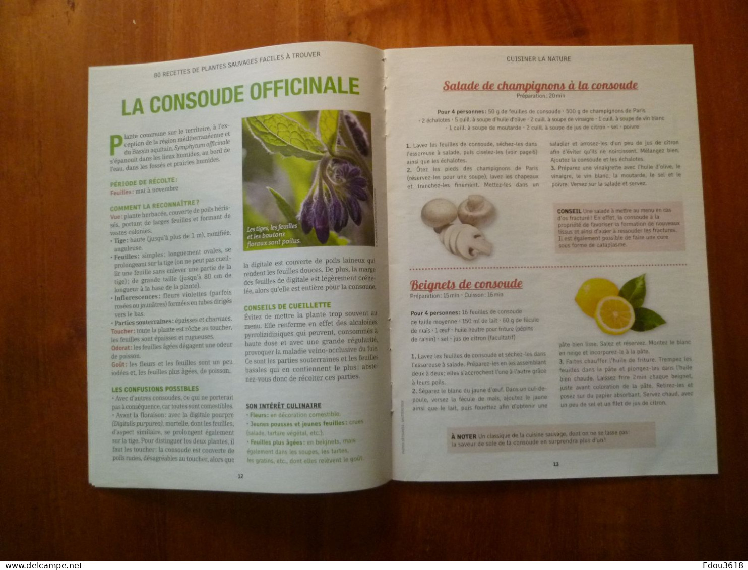 Lot 2 Carnet Rustica Cueillir Et Cuisiner Les Plantes Sauvages & Faire Sécher Les Fruits Légumes Champignons... * - Garden