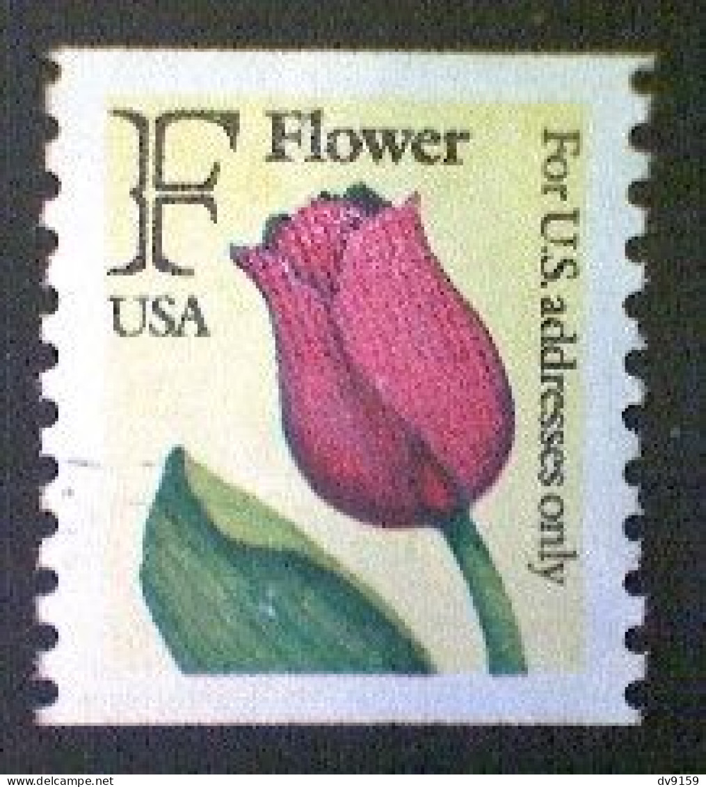 United States, Scott #2518, Used(o) Coil, 1991, Rate Change "F" Tulip , (29¢) - Used Stamps