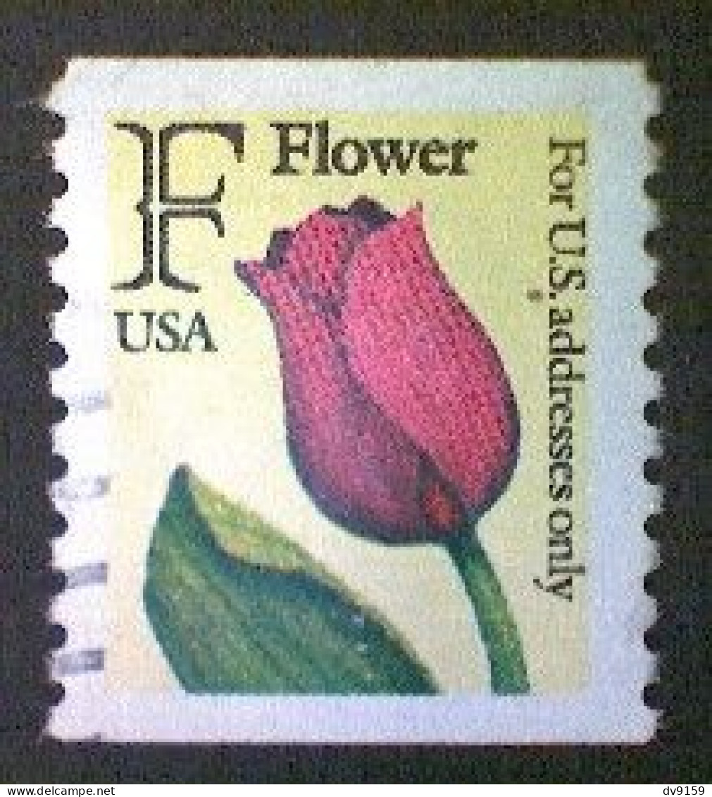 United States, Scott #2518, Used(o) Coil, 1991, Rate Change "F" Tulip , (29¢) - Used Stamps