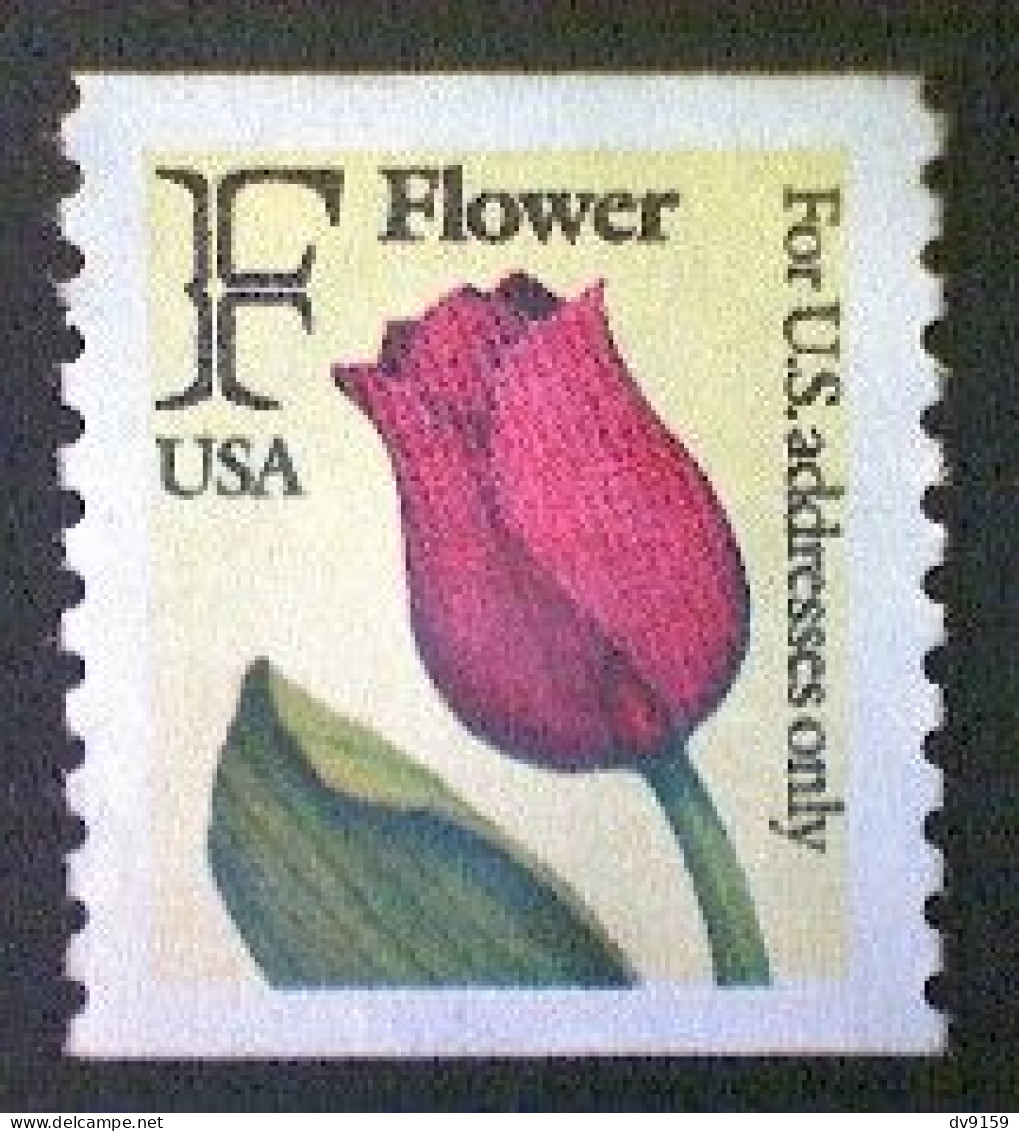 United States, Scott #2518, Used(o) Coil, 1991, Rate Change "F" Tulip , (29¢) - Used Stamps