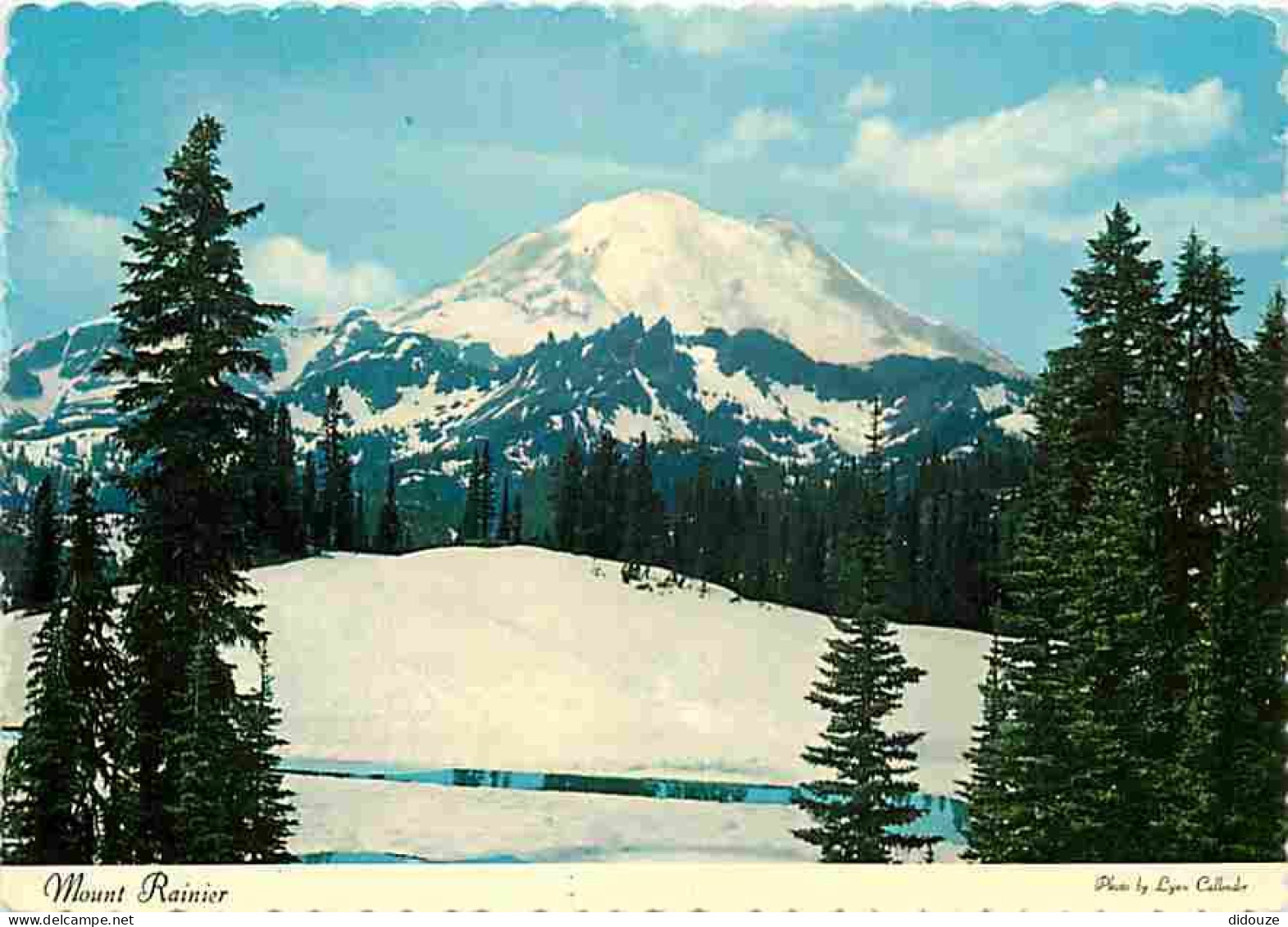 Etats Unis - Mount Rainier - CPM - Voir Scans Recto-Verso - Sonstige & Ohne Zuordnung