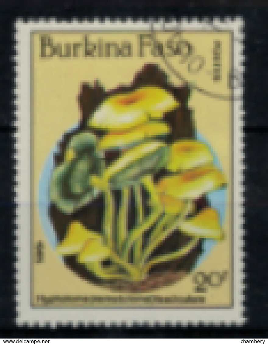 Burkina-Faso - "Champignon : Hyplolema" - Oblitéré N° 677 De 1985 - Burkina Faso (1984-...)