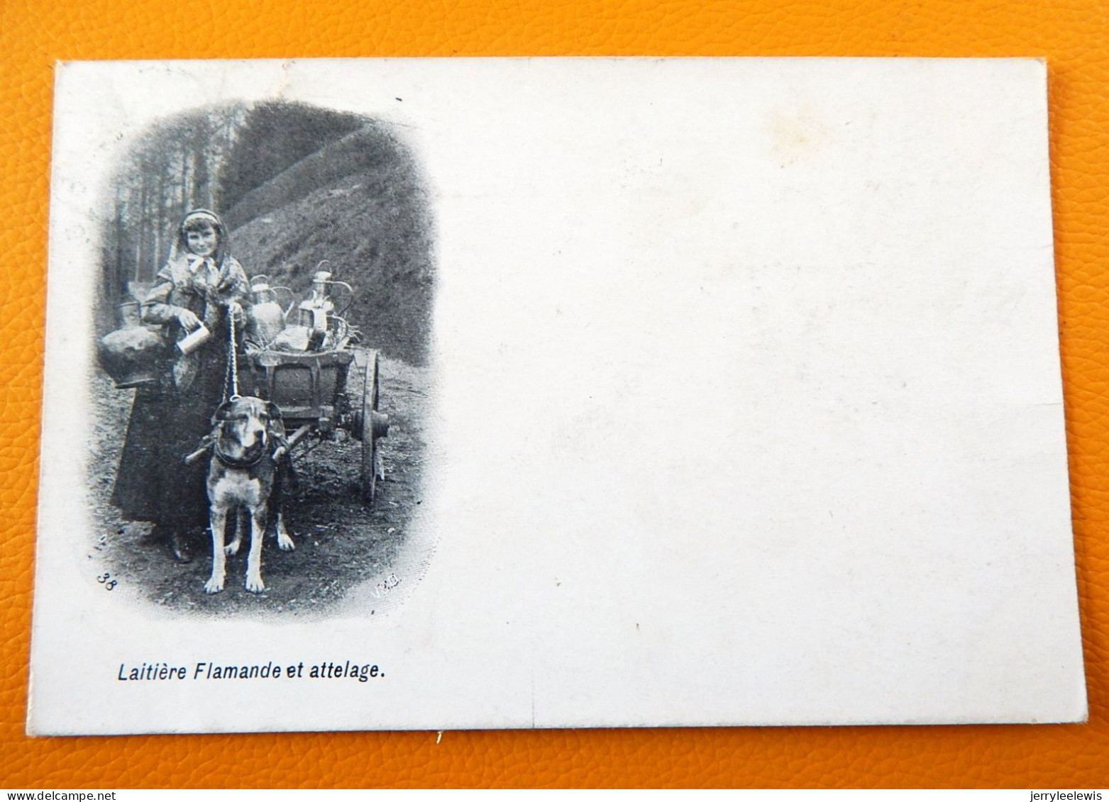 VLAANDEREN  - Vlaamse Melkvrouw  En Koets  - Laitière Flamande Et  Attelage  -  1908 - Street Merchants