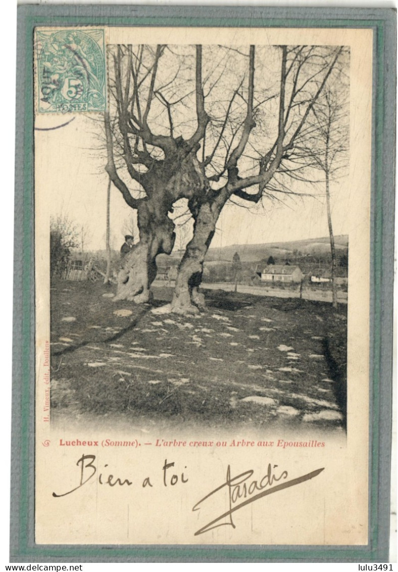 CPA (80) LUCHEUX - Thème: ARBRE - L'arbre Creux Ou Arbre Aux épousailles - 1904 - Lucheux
