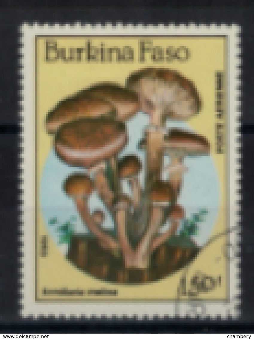 Burkina-Faso - PA - "Champignon : Amarilla Melea" - Oblitéré N° 311 De 1985 - Burkina Faso (1984-...)