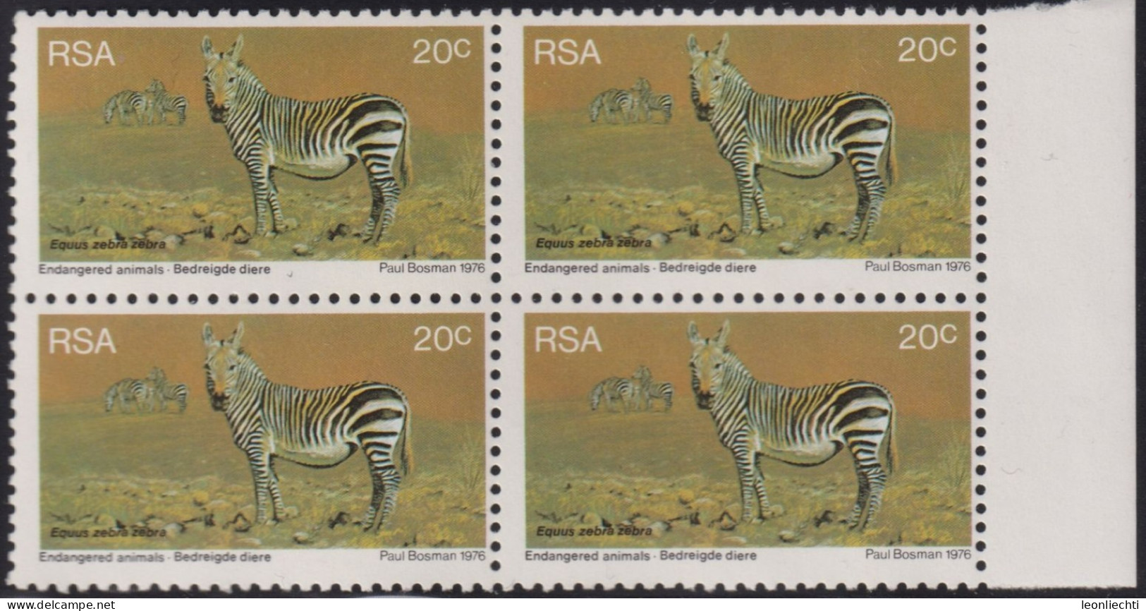 1976 Südafrika RSA,** Mi:ZA 503, Sn:ZA 468, Yt:ZA 408, Sg:ZA 407, SAC:ZA 408, Cape Mountain Zebra (Equus Zebra Zebra) - Ungebraucht