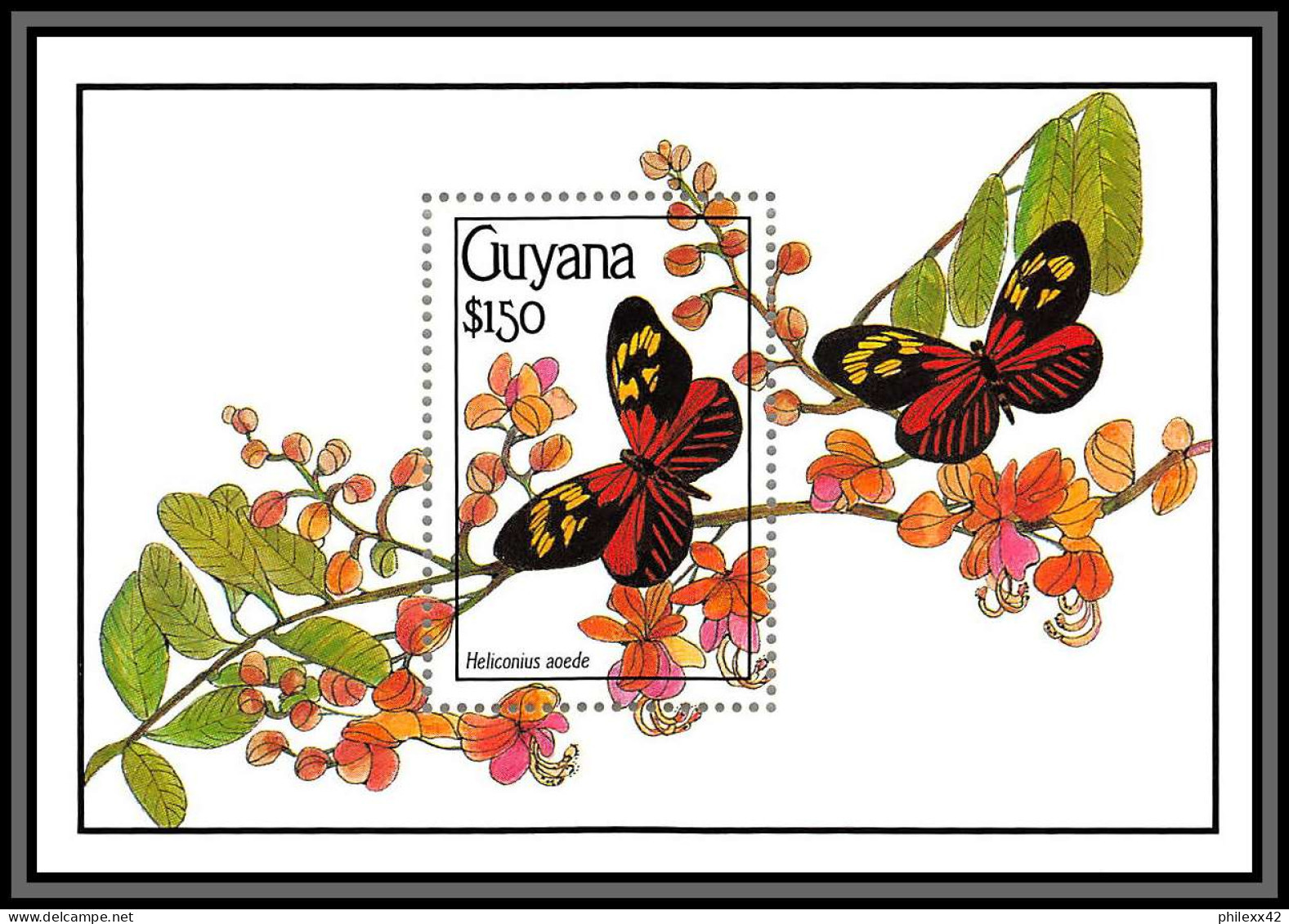 80783 Guyana Guyane Mi BF N°101 TB Neuf ** MNH Papillons Butterflies Schmetterlinge Heliconius Aoede 1990 - Butterflies