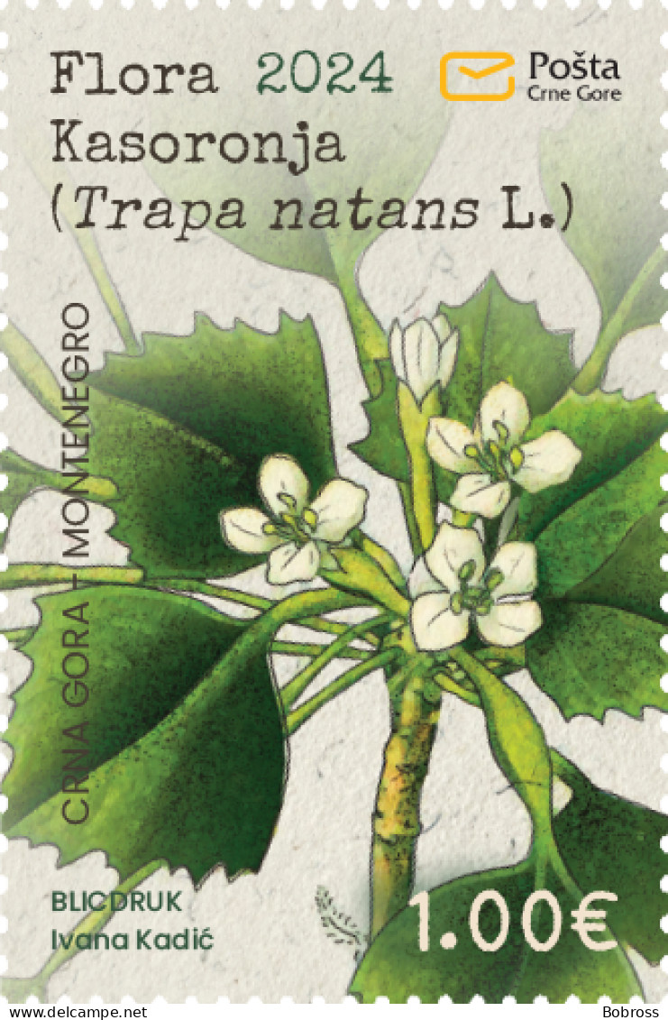2024 Flora Of Kasoronja (Trapa Natans L.), Montenegro, MNH - Montenegro