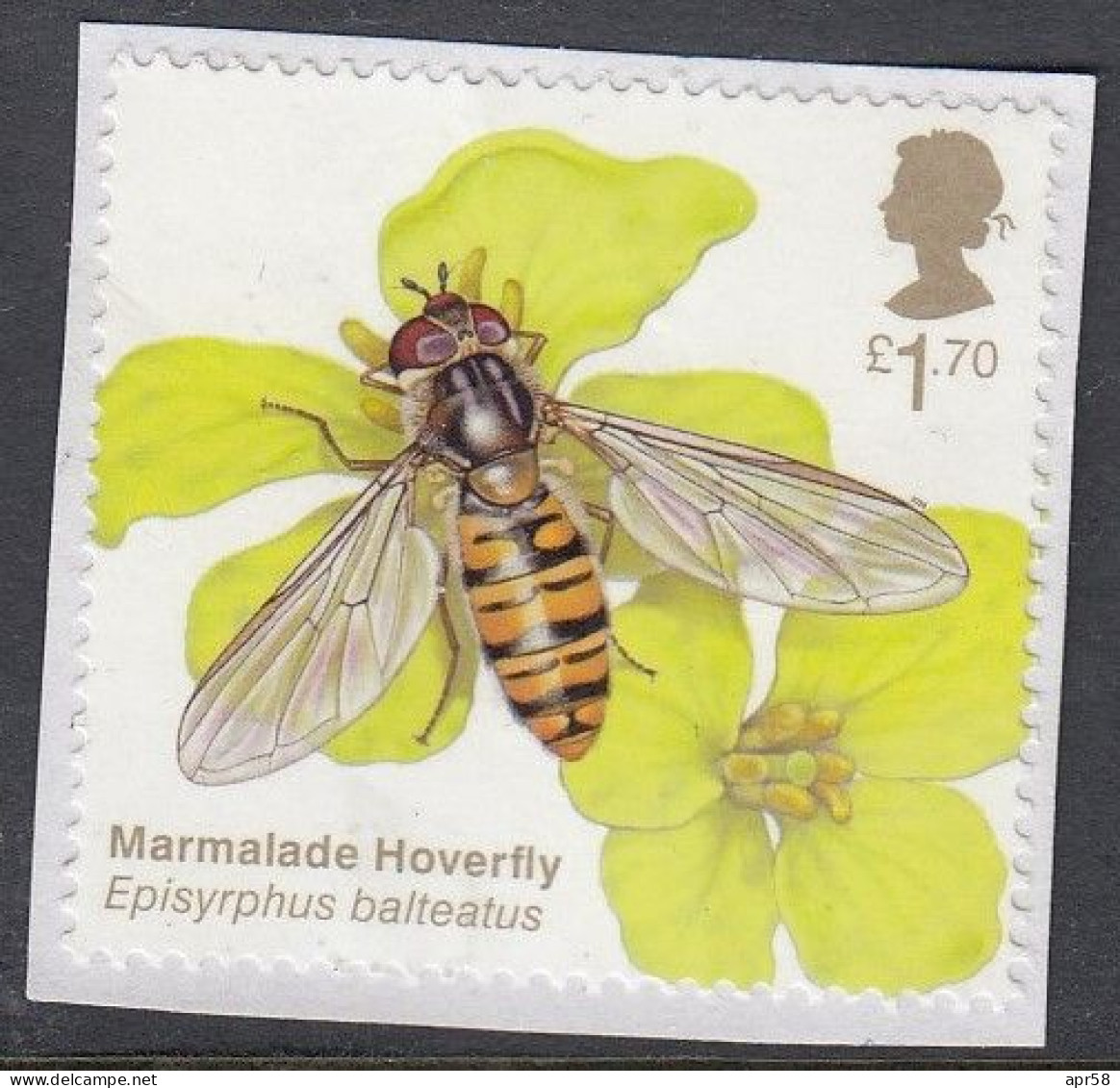 2020 Brilliant Bugs £1.70 - Used Stamps