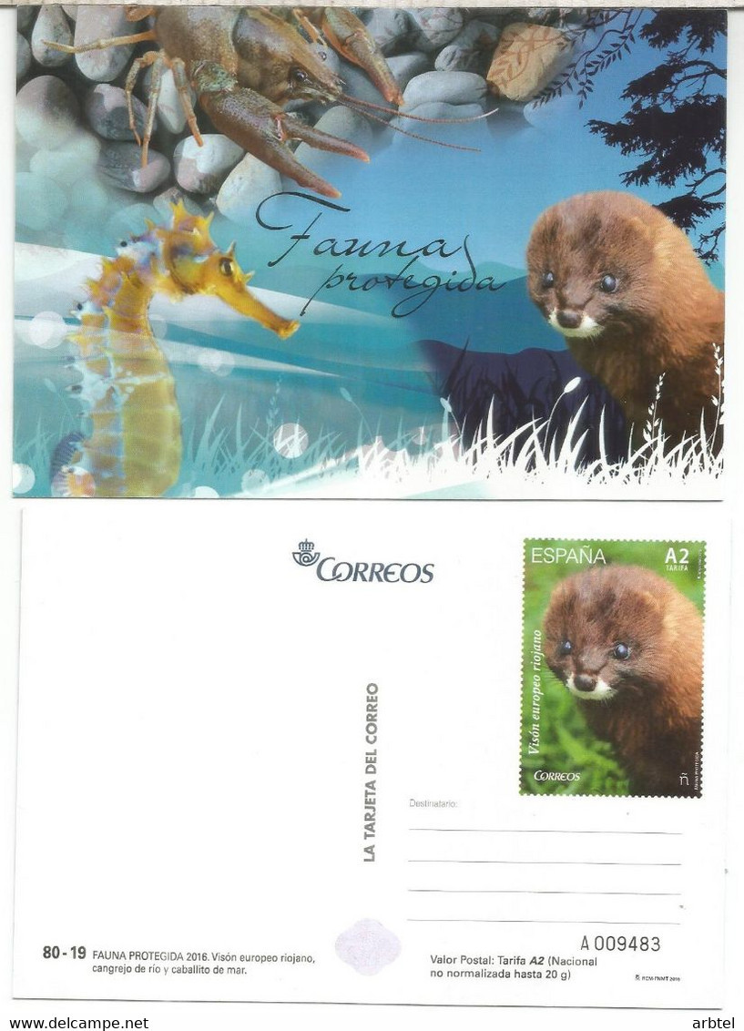 ENTERO POSTAL TARJETA DEL CORREO FAUNA PROTEGIDA VISON CABALLITO MAR HORSESEA CRAB - Roditori