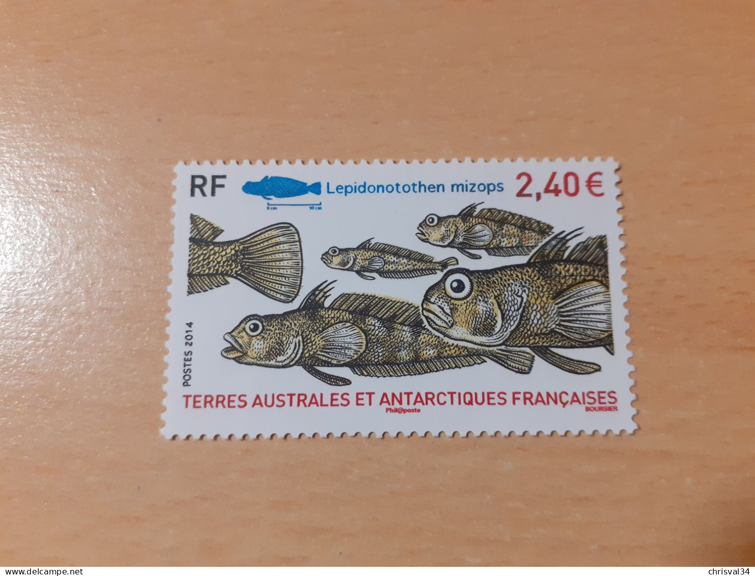 TIMBRE    TAAF     N  690      ANNÉE  2014    NEUF  LUXE** - Unused Stamps