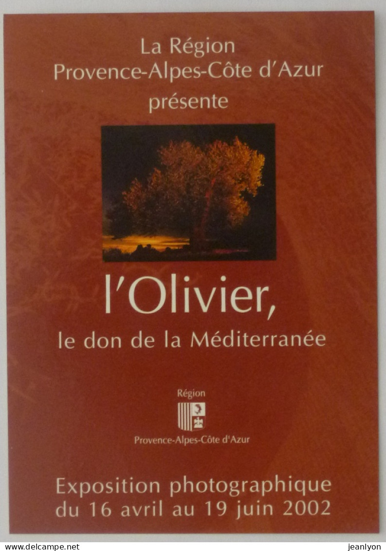 OLIVIER / OLIVE - Don De La Méditerranée - Exposition Photographie - Carte Publicitaire - Alberi