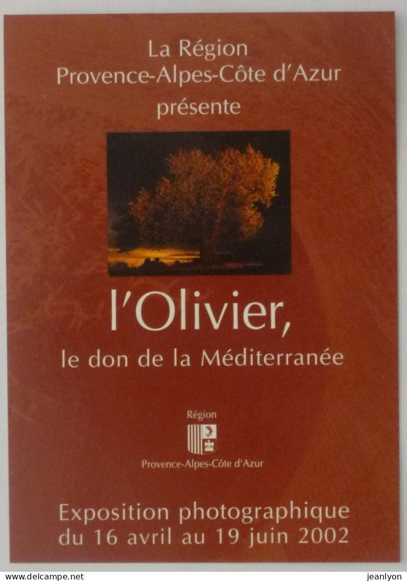 OLIVIER / OLIVE - Don De La Méditerranée - Exposition Photographie - Carte Publicitaire - Árboles