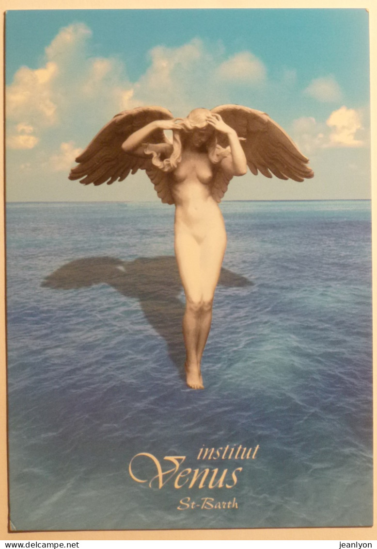 VENUS - Femme Nue Avec Des Ailes / Poitrine - Carte Publicitaire Institut Venus St Barthélémy - Pin-Ups