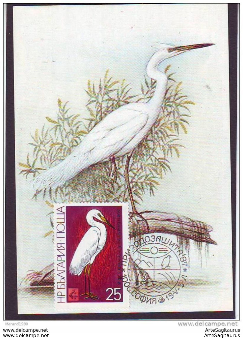 BULGARIA, CARTE MAXIMUM - BIRDS-Egretta Alba # - Storks & Long-legged Wading Birds
