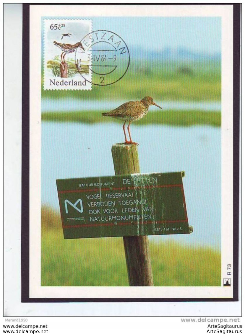 NETHERLAND, CARTE MAXIMUM - BIRDS-Limosa Limosa # - Storks & Long-legged Wading Birds