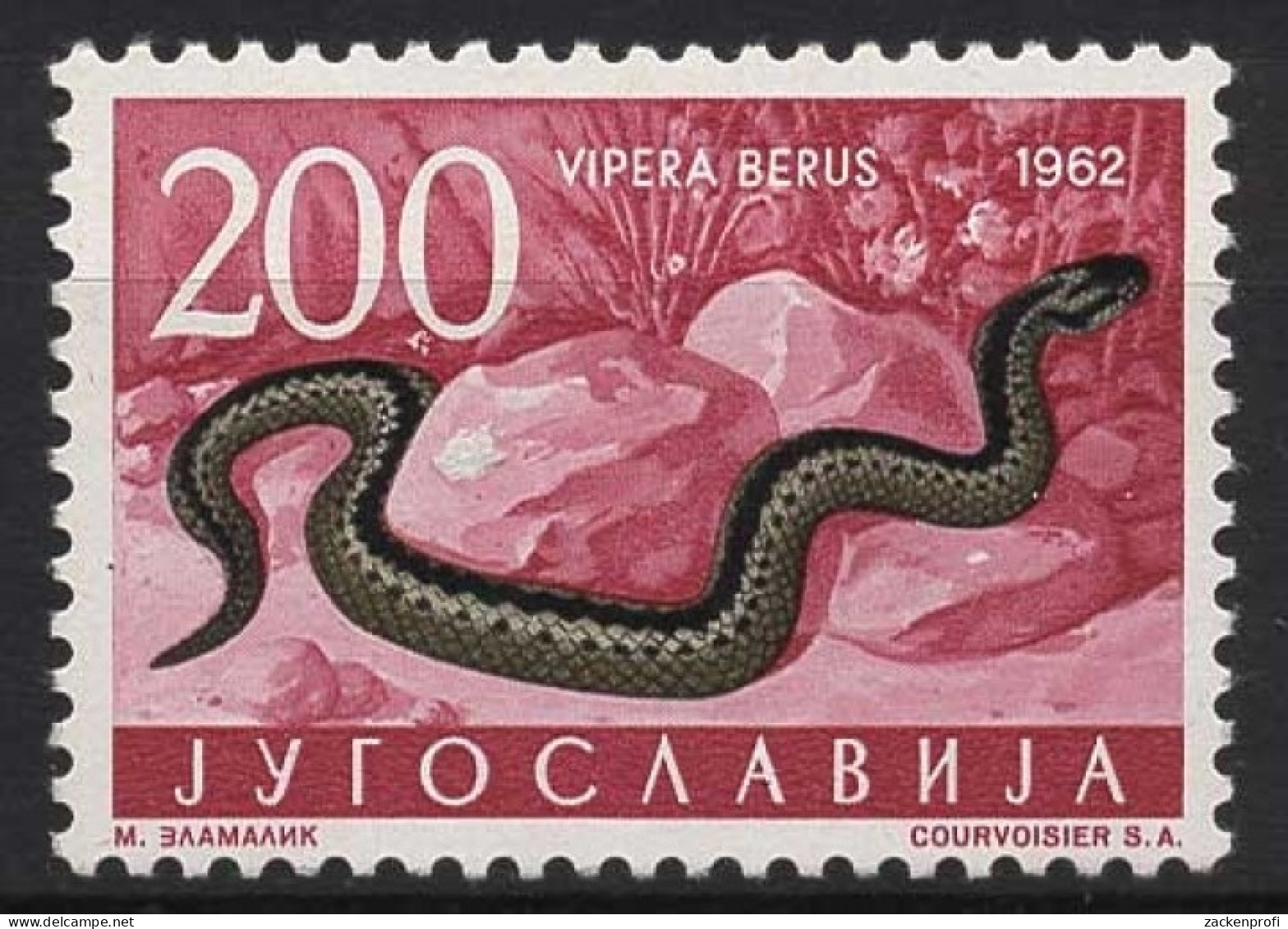Jugoslawien 1962 Tiere Kreuzotter 1015 Postfrisch - Unused Stamps