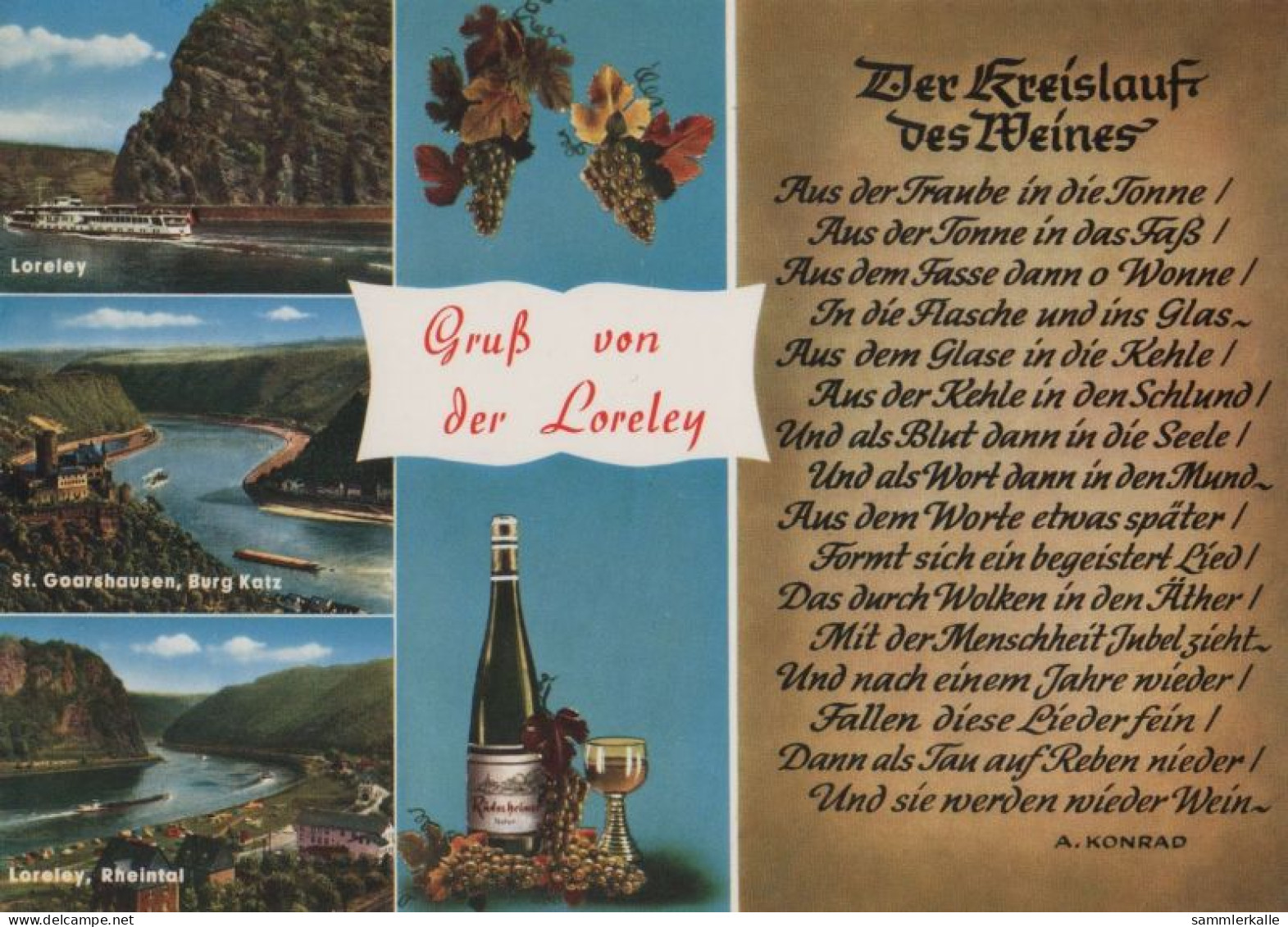 119894 - Loreley - 3 Bilder - Loreley