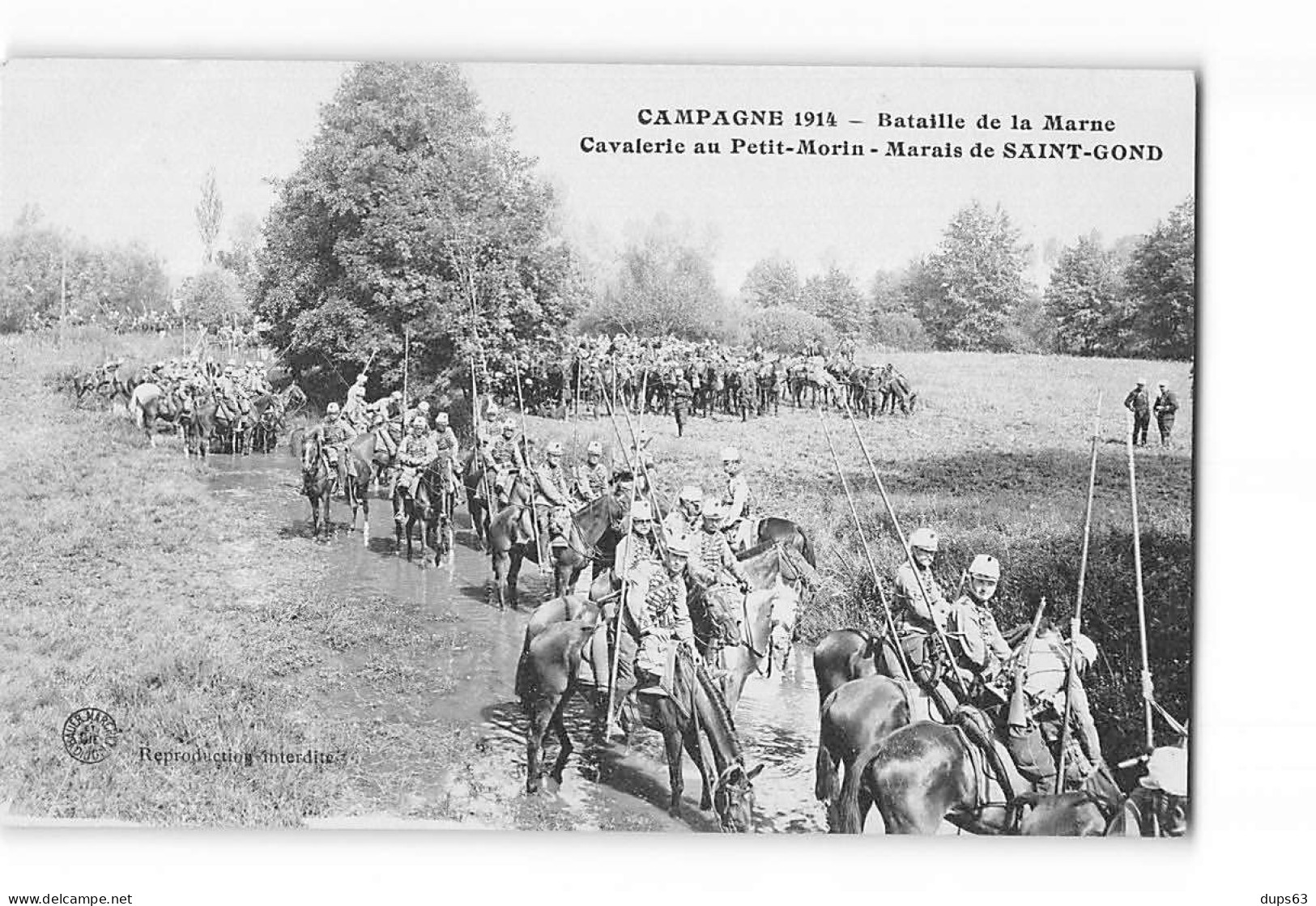 Campagne 1914 - Bataille De La Marne - Cavalerie Au Petit Morin - Marais De SAINT GOND - Très Bon état - Vertus