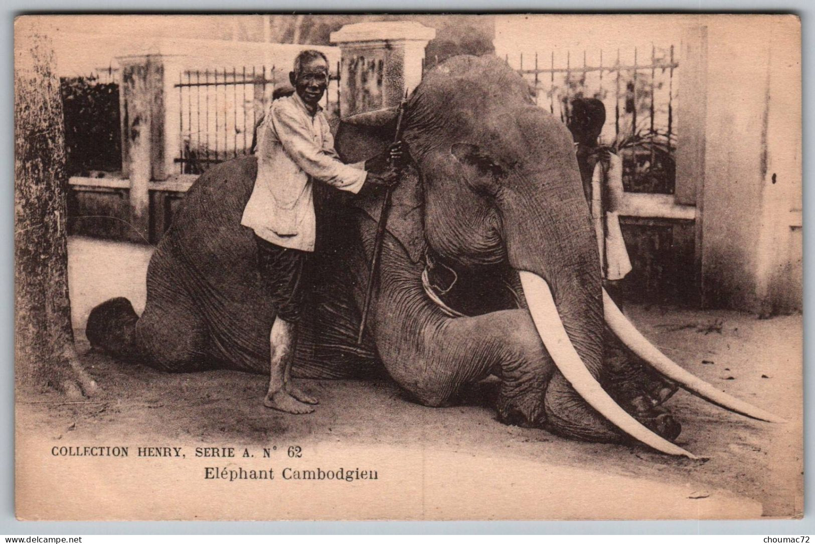 (Cambodge) 043, Collection Henry Serie A N° 62, Eléphant Cambodgien - Cambodge