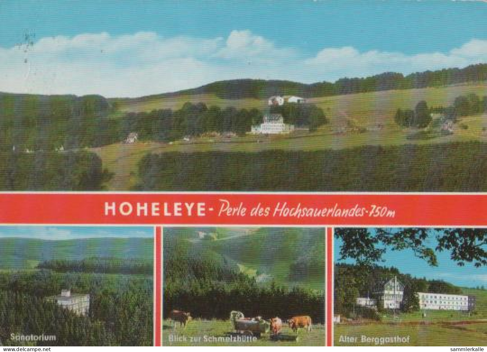 24318 - Winterberg - Hoheleye U.a. Berggasthof - 1975 - Winterberg