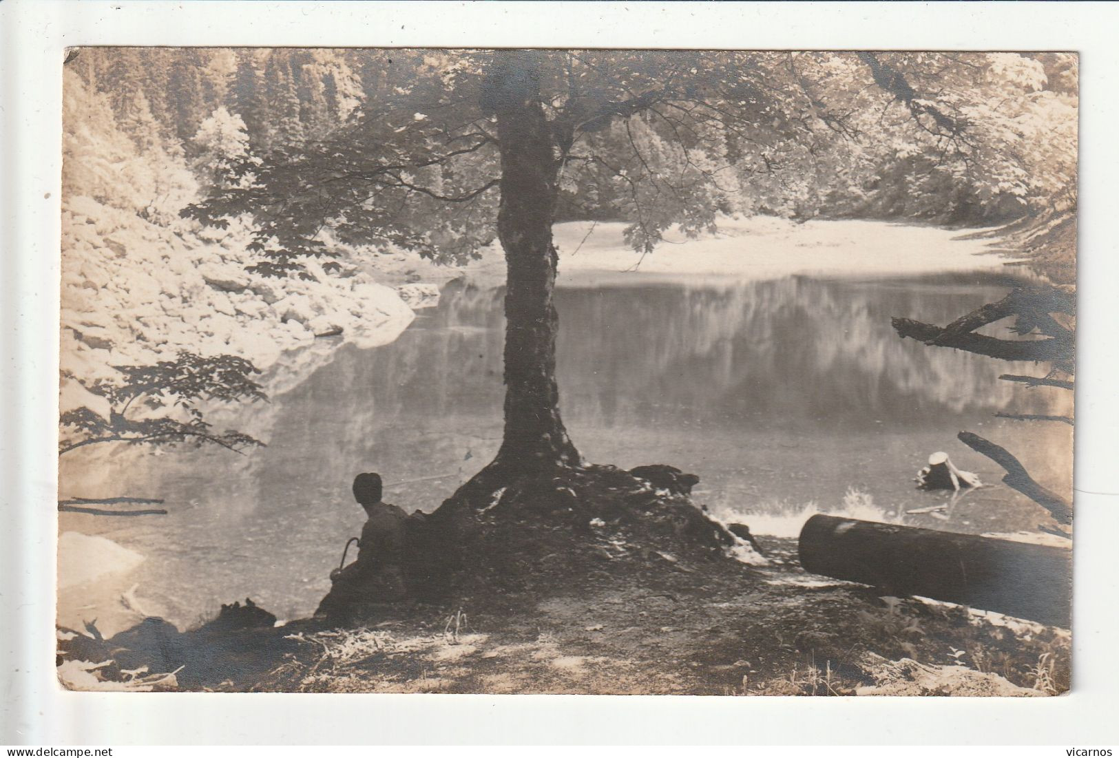 CP AUTRICHE Lac De  TRAUNSEE - Hallstatt