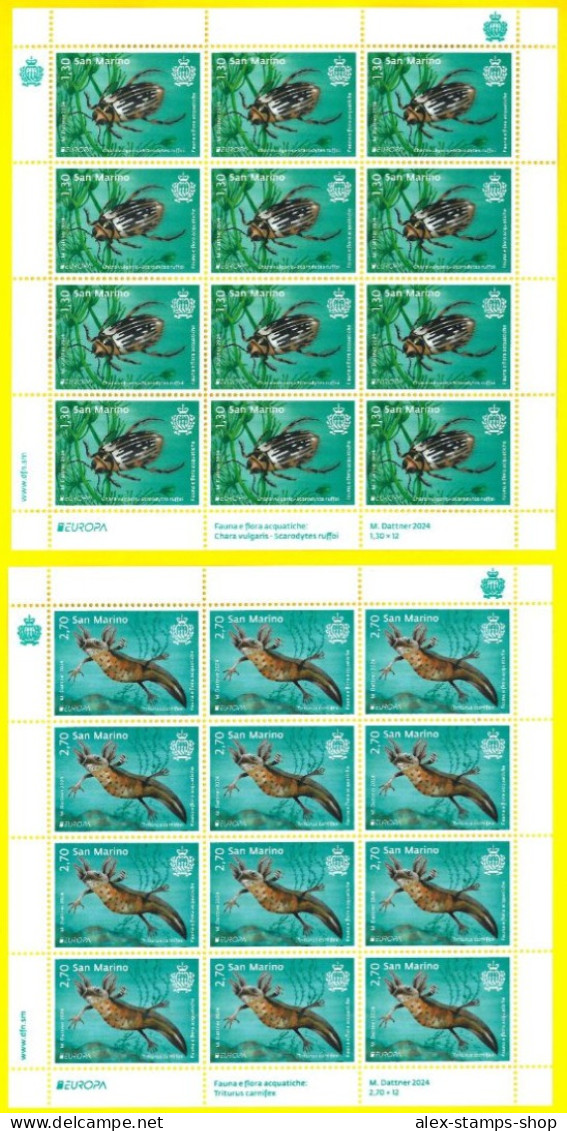 SAN MARINO 2024 N.2 New Sheet Europa - Fauna E Flora Acquatiche - Blocchi & Foglietti