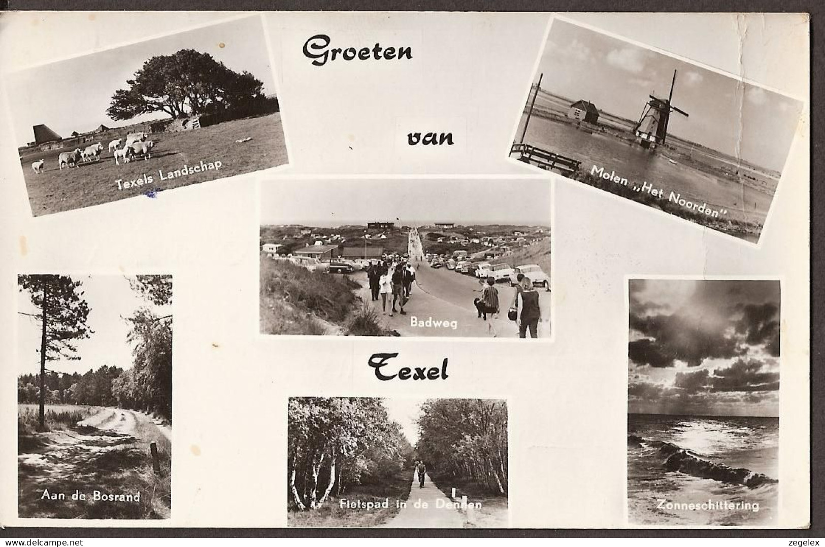 Texel, Molen, Schapen,Badweg, Fietspad In De Dennen, Rond 1960 - Texel