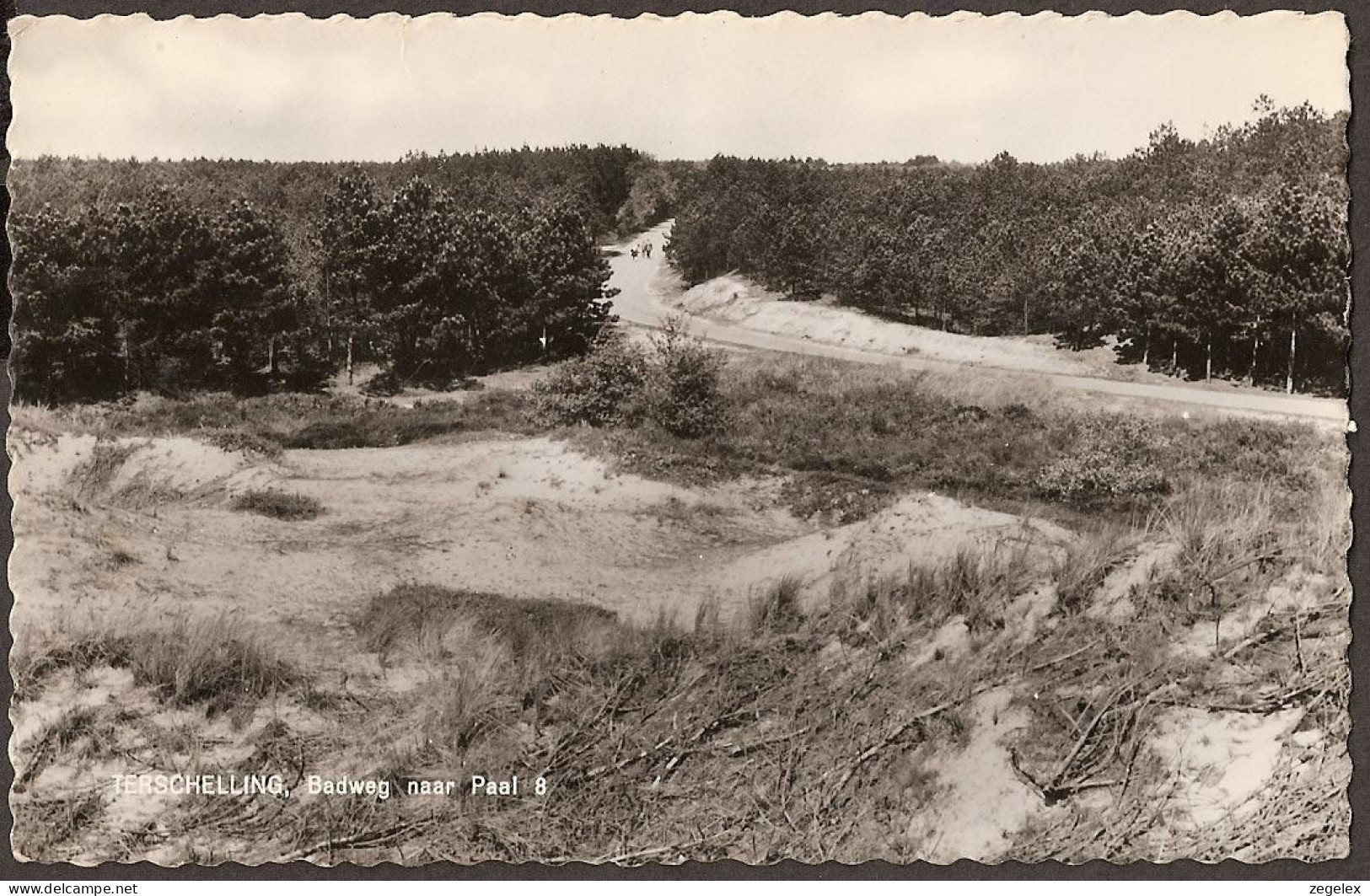 Terschelling, Badweg Naar Paal 8 - Terschelling