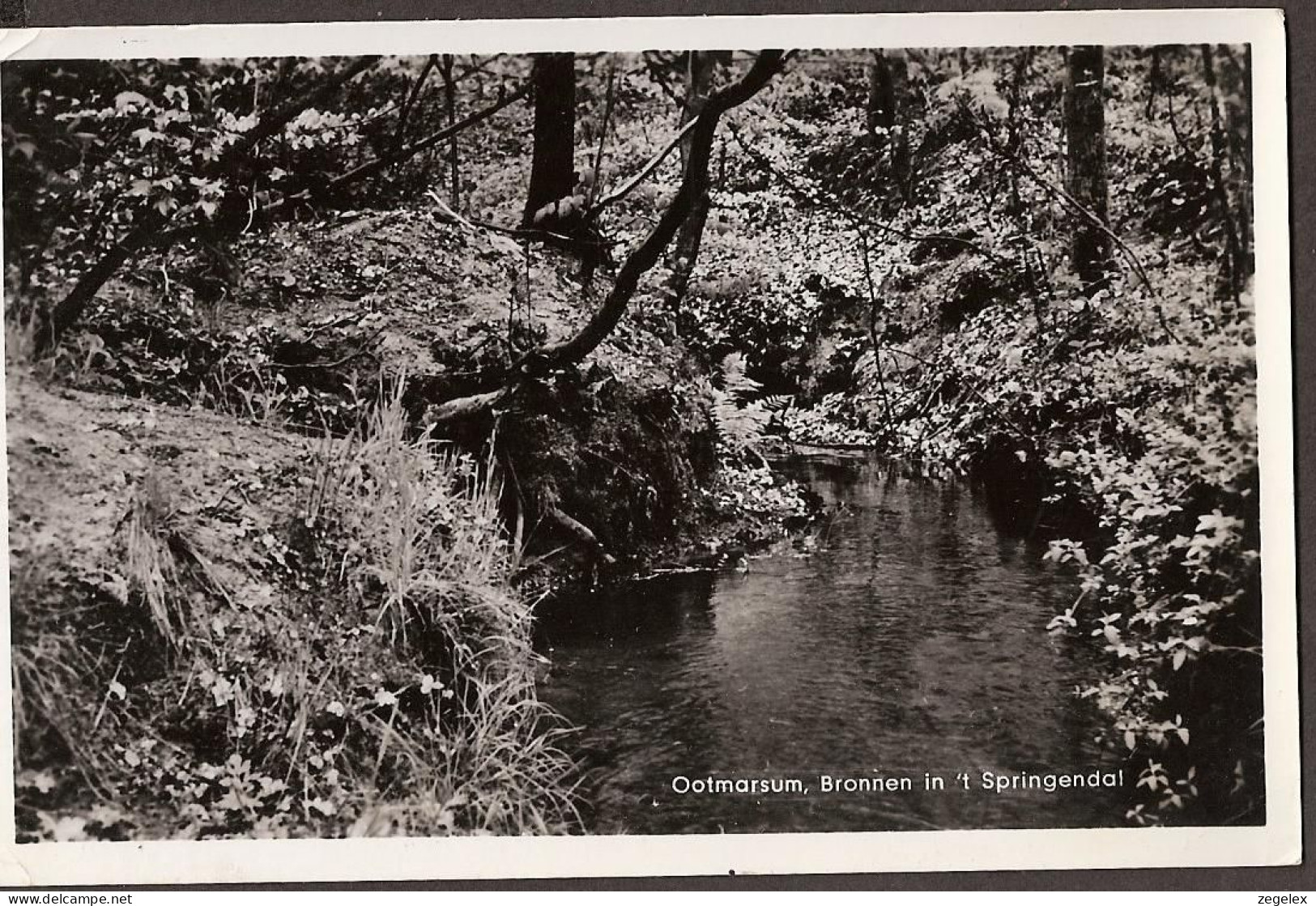 Ootmarsum, Bronnen In 't Springendal - Rond 1960 - Ootmarsum