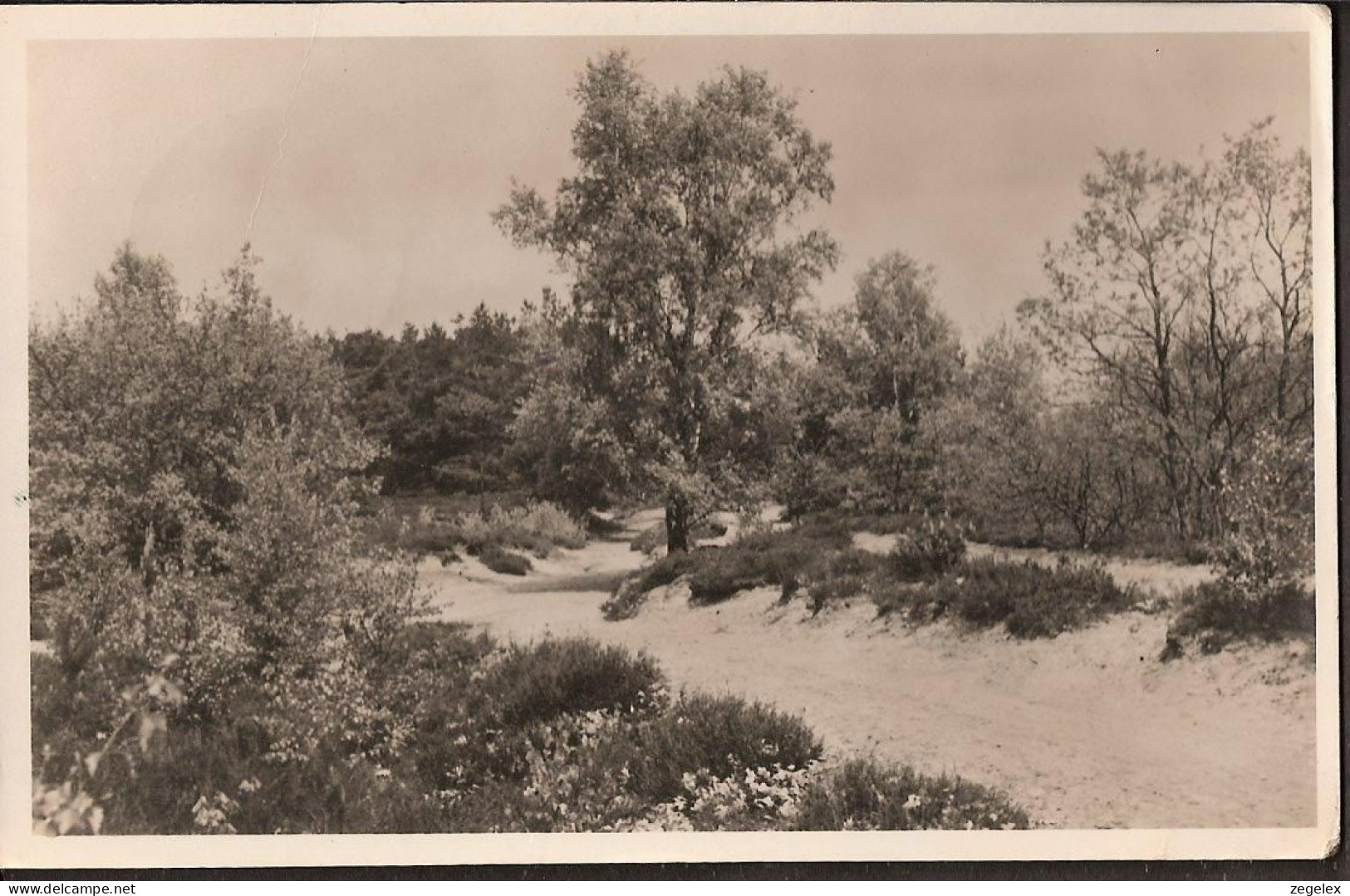 Nijverdal "Drietip" Bonteweg - 1951 - Nijverdal