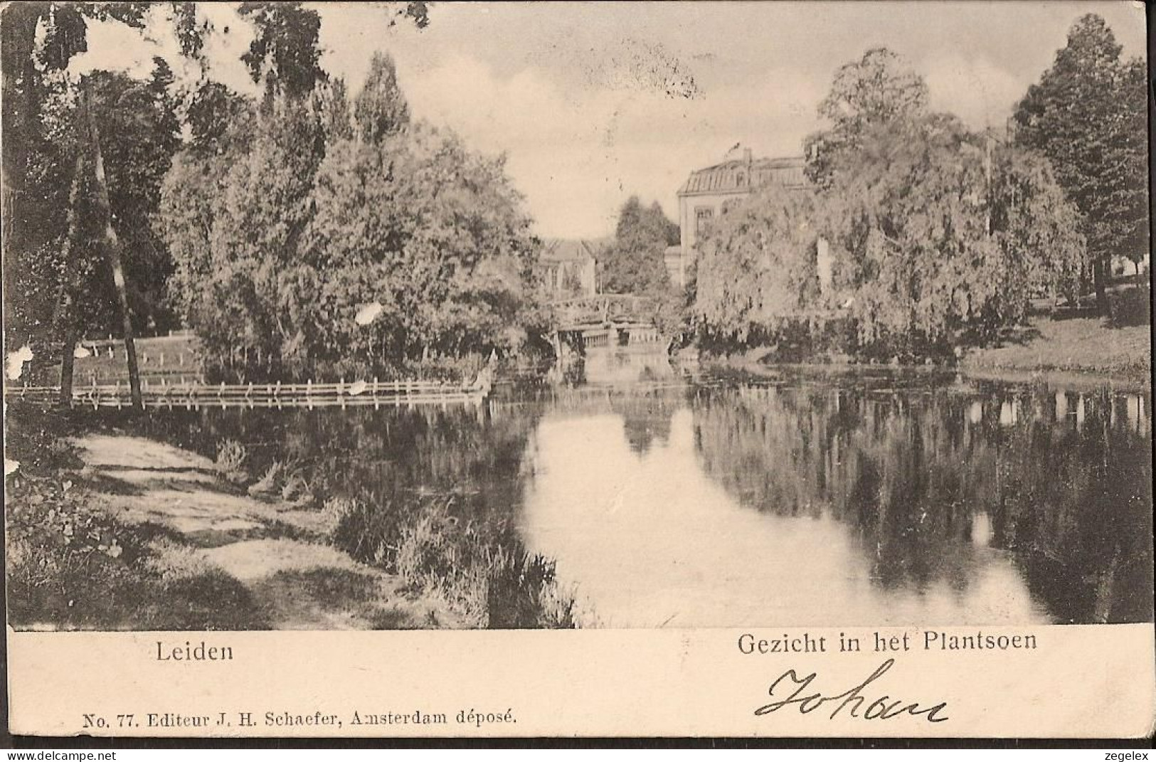 Leiden - Gezicht In Het Plantsoen - 1904 - Leiden