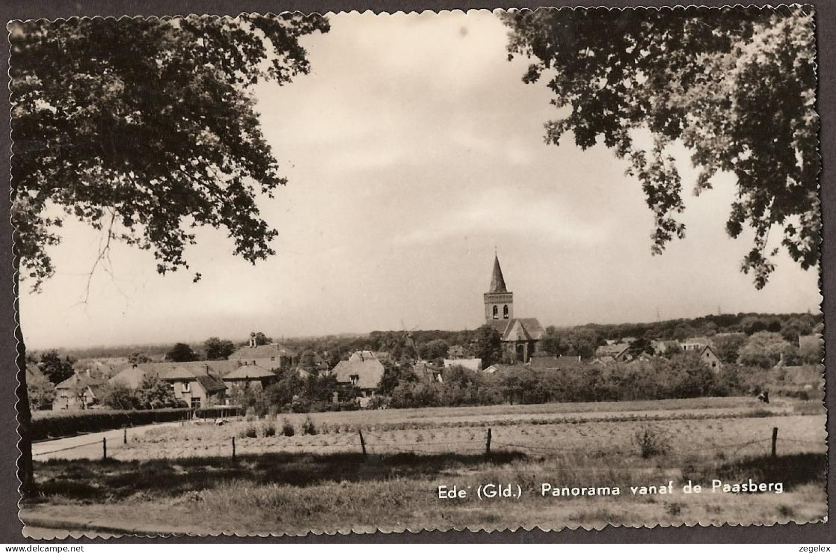 Ede, Panorama Vanaf De Paasberg, Met Ned Herv Kerk. 1961 - Ede