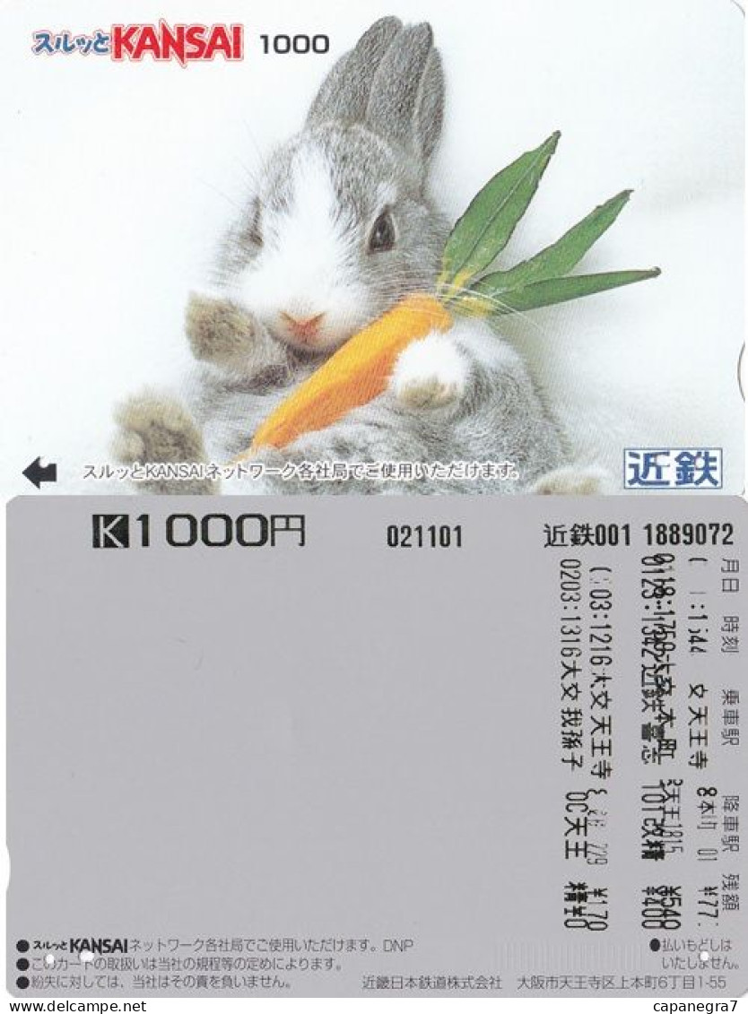 Rabbit, Japan, Kansai Train Ticket - Giappone