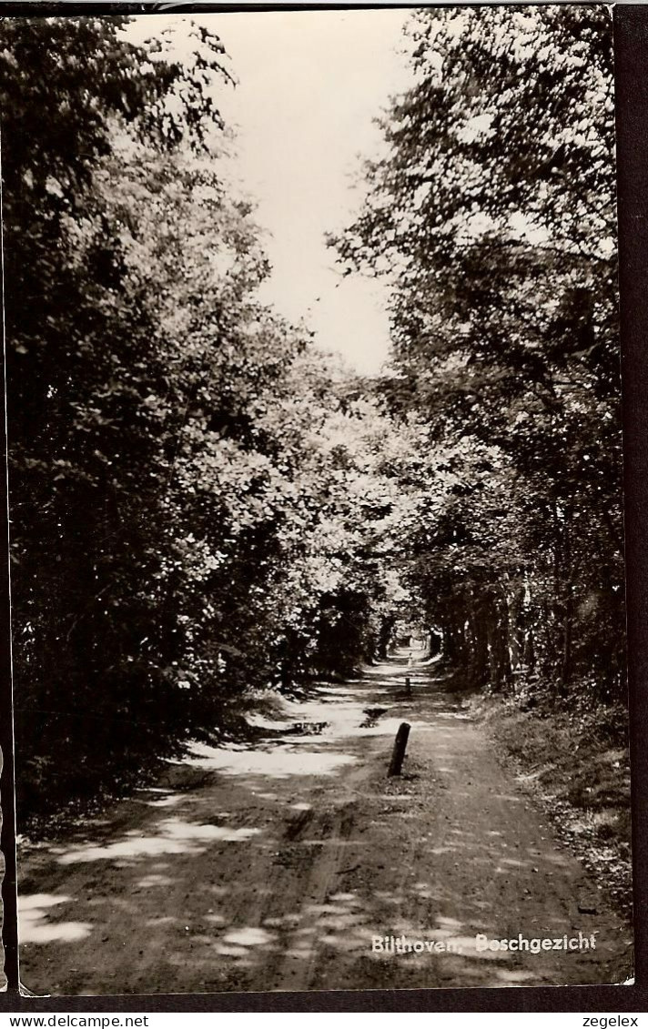 Bilthoven  - Bosgezicht - 1961 - Bilthoven