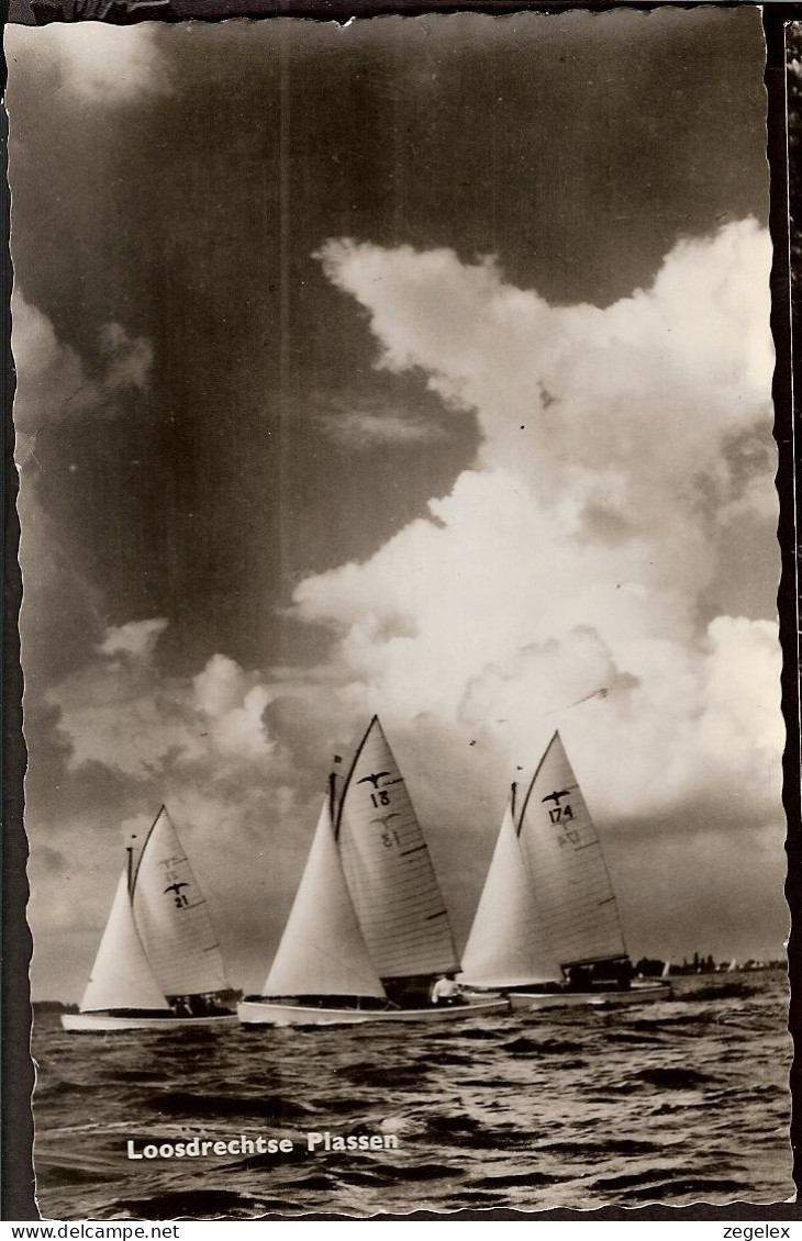 Breukelen - Loosdrechtse Plassen  - Watersport En Vakantiecentrum Van Zijl -1964 - Breukelen