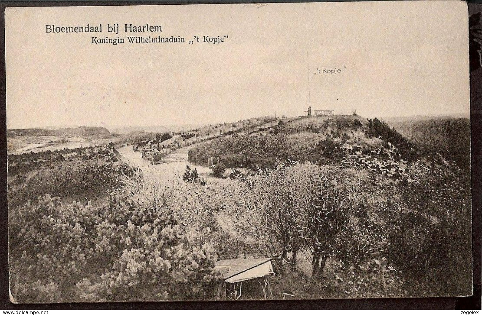 Bloemendaal Bij Haarlem - Koningin Wilhelminaduin " 't Kopje"  - Bloemendaal