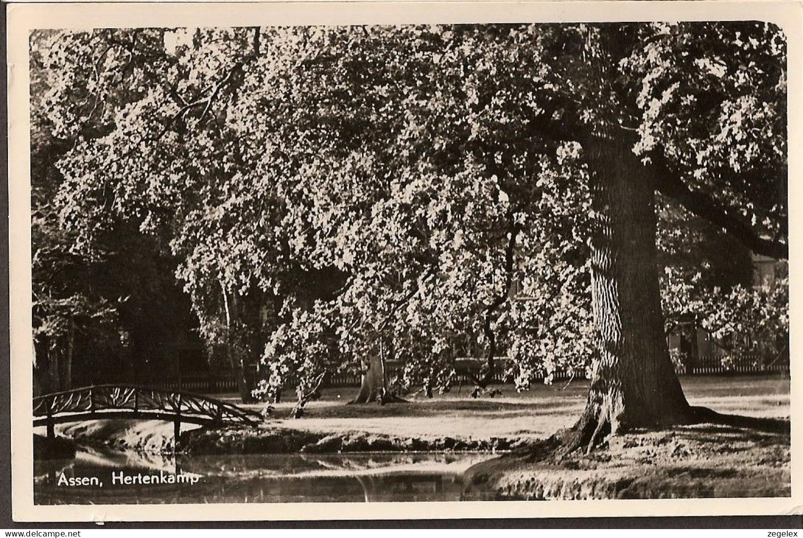 Assen - Hertenkamp  - 1956 Groot-rond Stempel "Wijk Aan Zee" - Assen