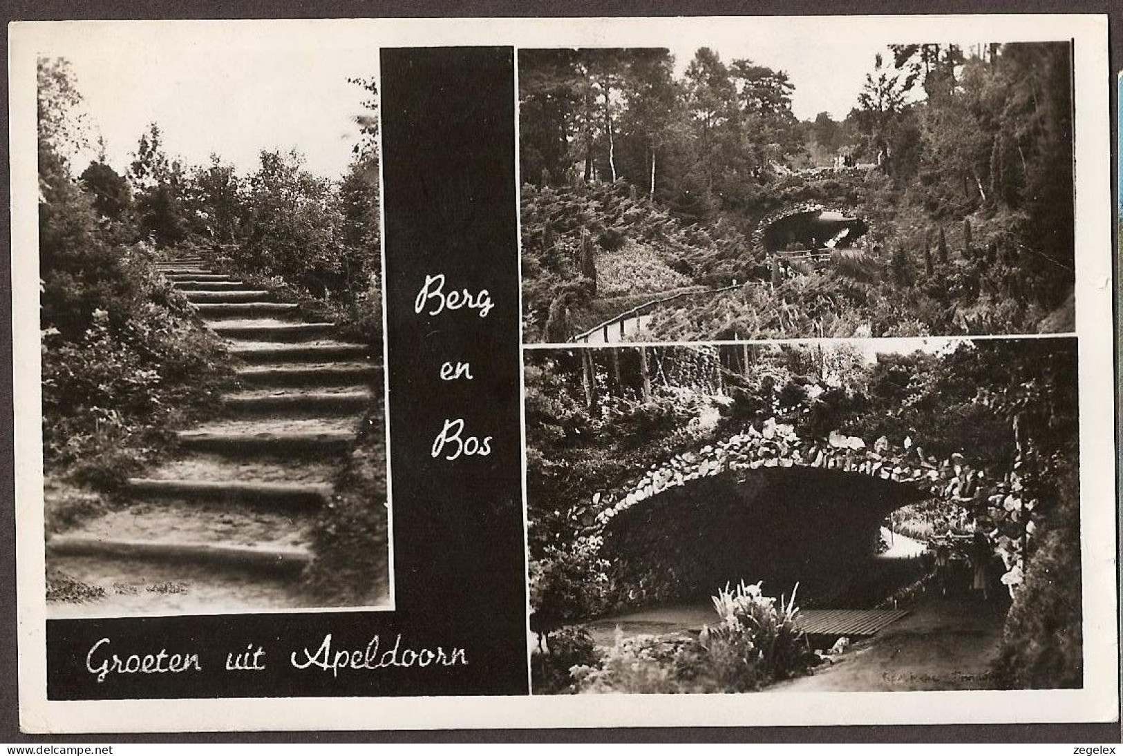 Apeldoorn - Berg En Bos  - Apeldoorn