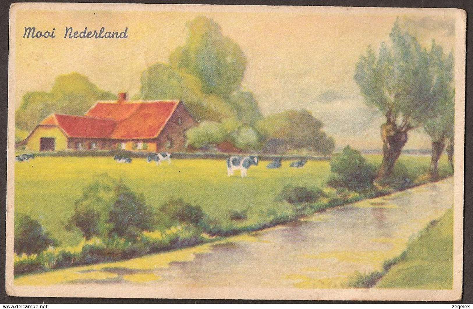 Zaandam  - 1950 -Mooi Nederland - Boerderij Met Koeien - Farm With Cows  - Zaandam