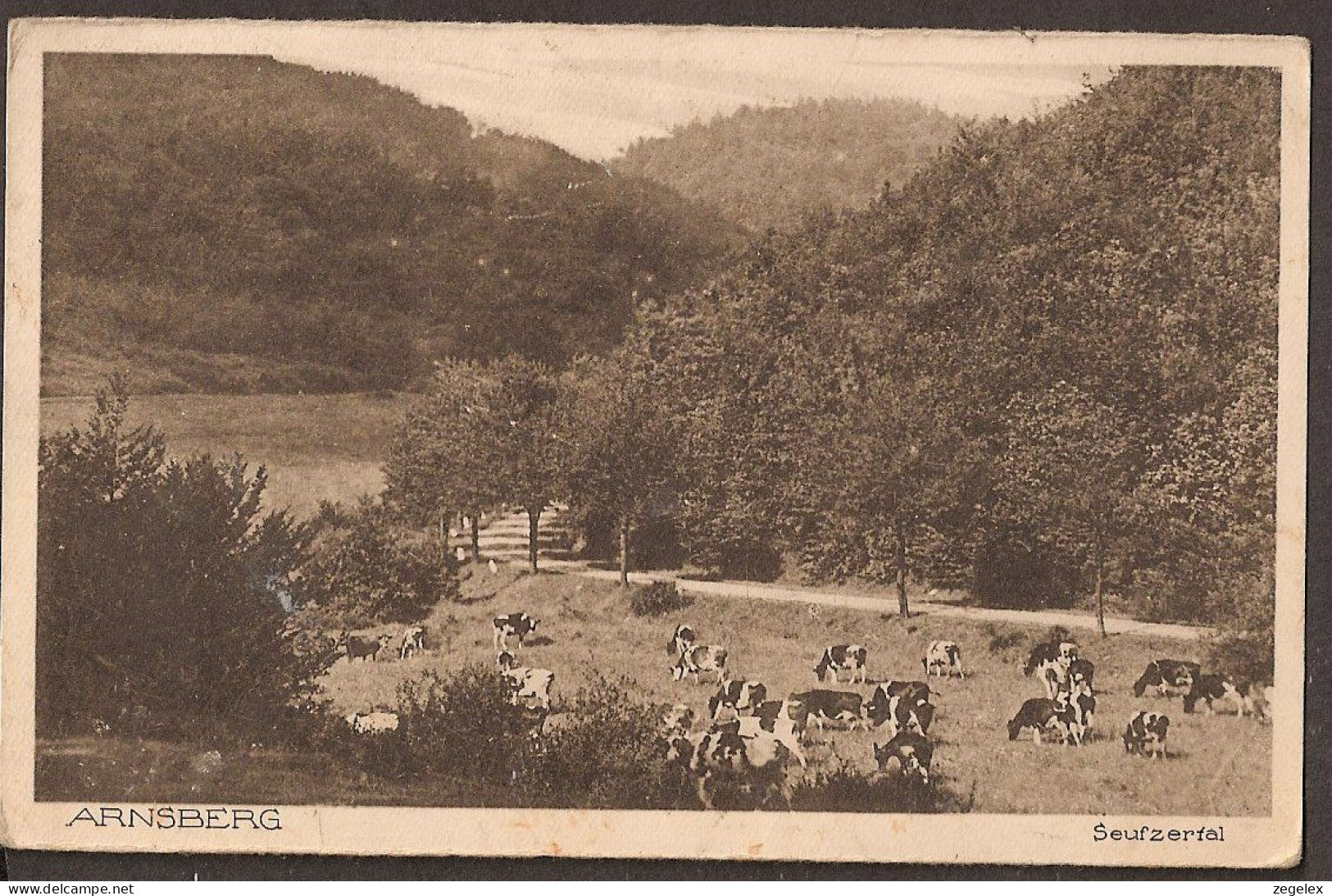 Arnsberg - Seufzertal + Cows - Arnsberg