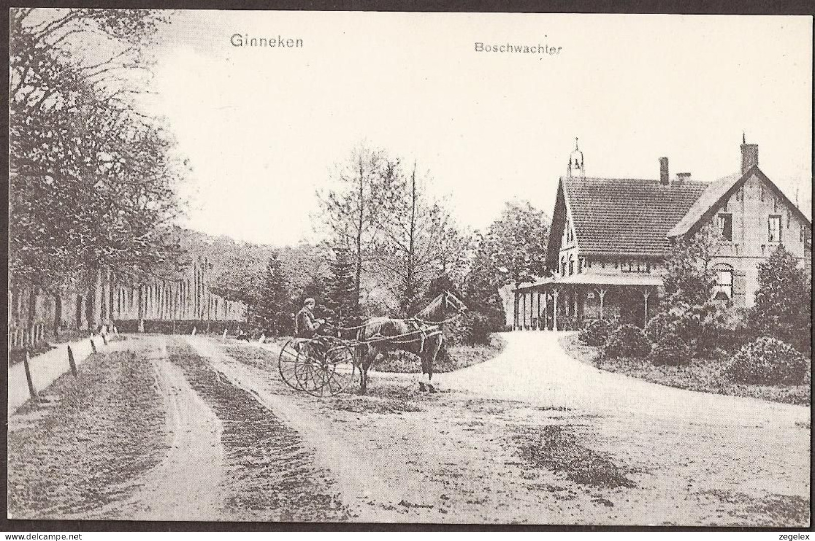 Ginneken - Boschwachter Met Paard - (REPRINT) - Breda