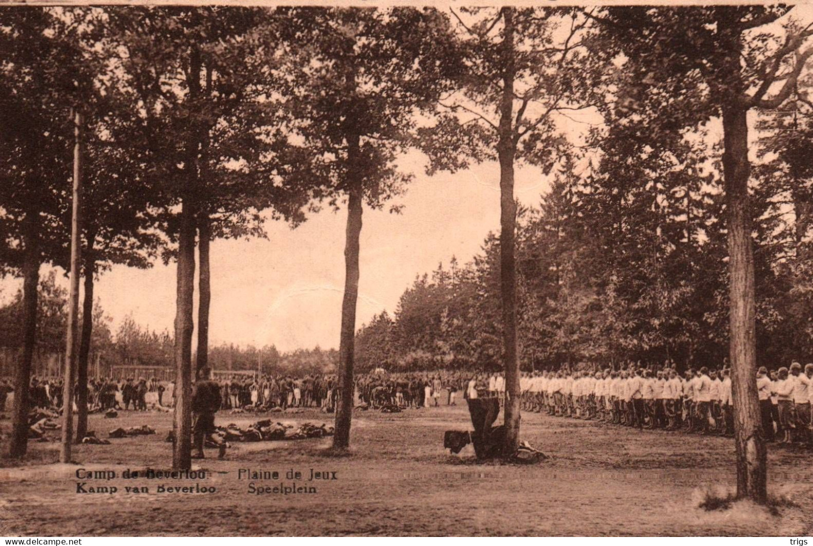 Kamp Van Beverloo - Speelplein - Leopoldsburg (Beverloo Camp)