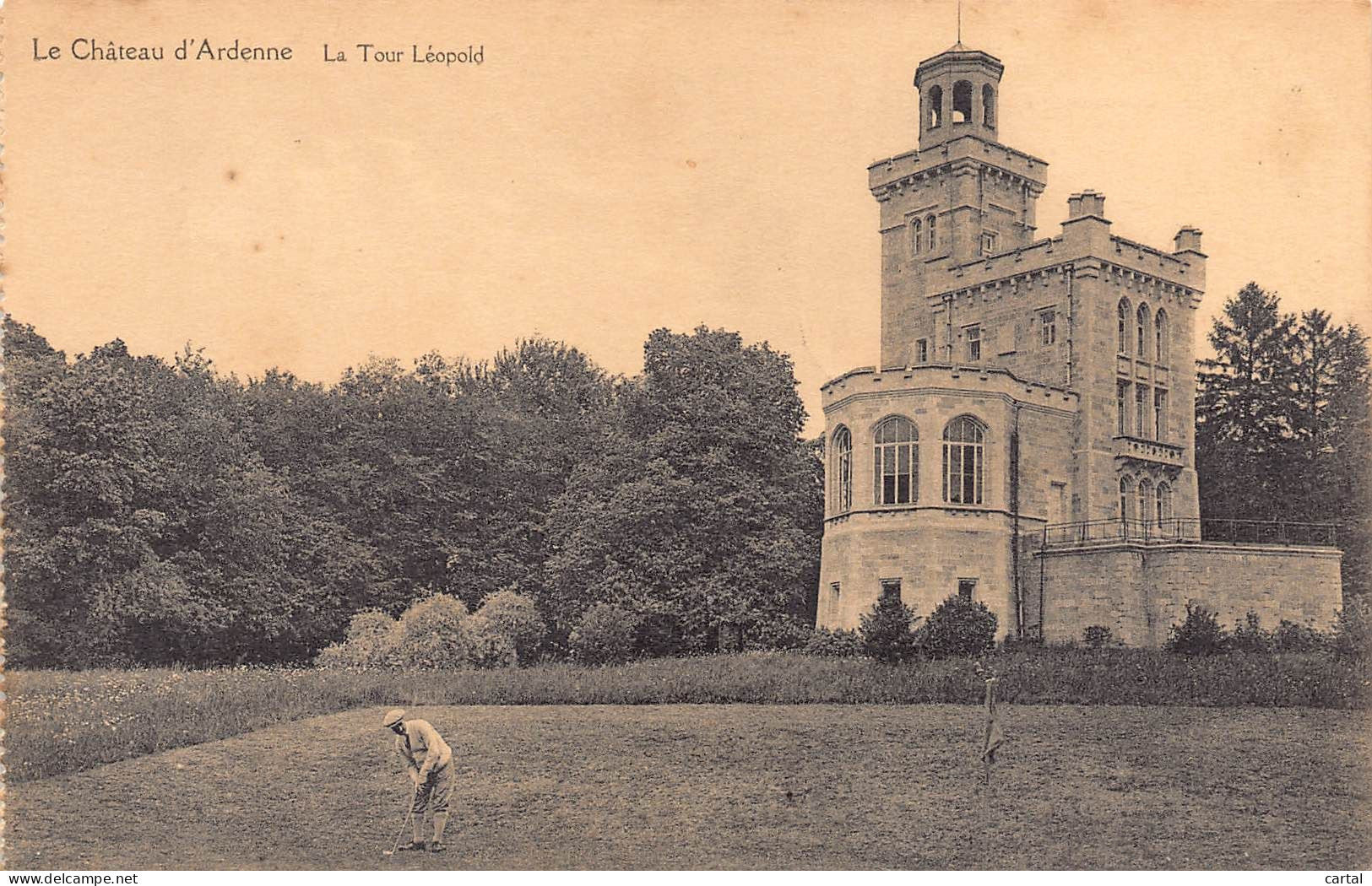 HOUYET - Le Château D'Ardenne - La Tour Léopold - Houyet