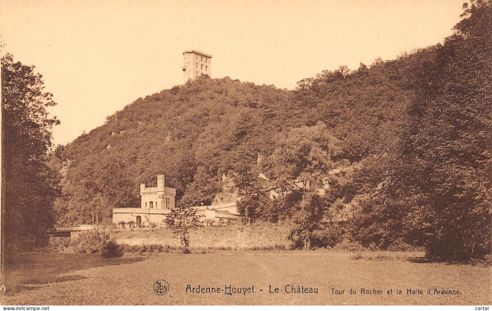 ARDENNE-HOUYET - Le Château - Tour Du Rocher Et La Halte D'Ardenne. - Houyet